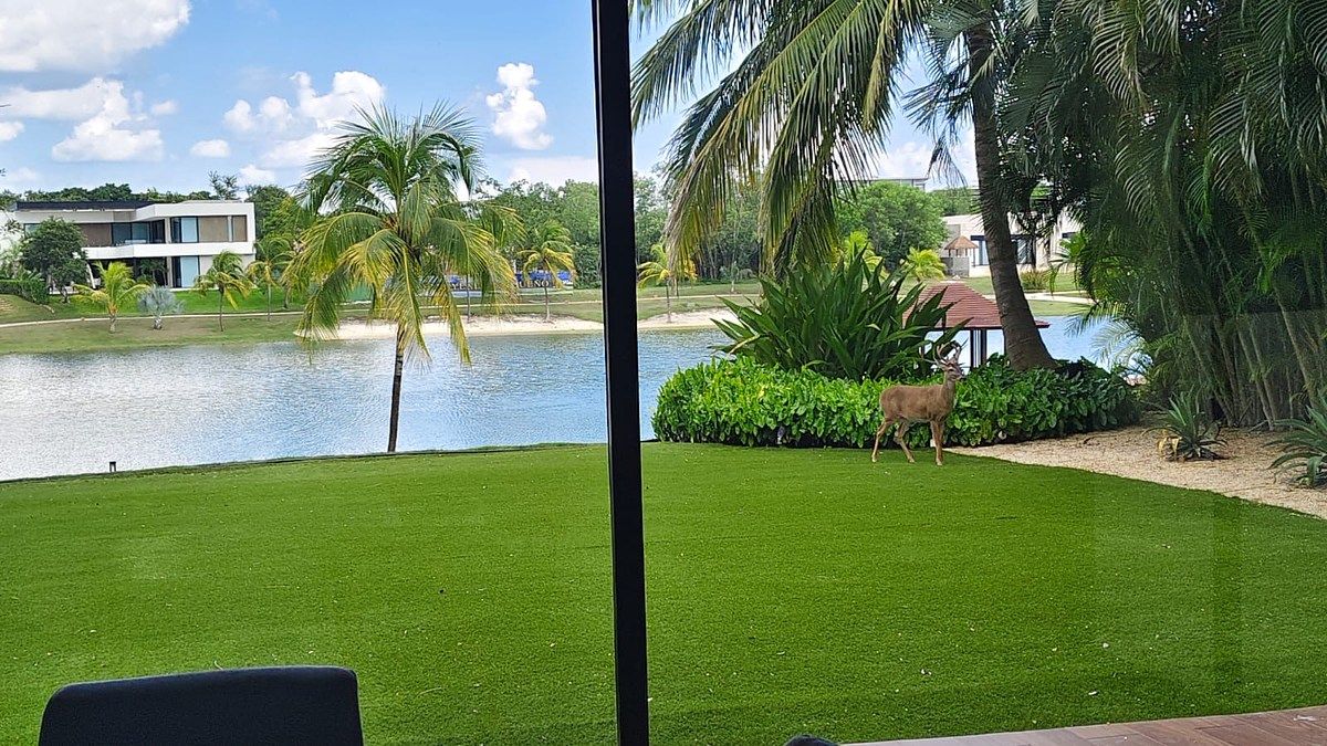 Venta Residencia Privada Killil Yucatán Country Club, foto 1 de 12