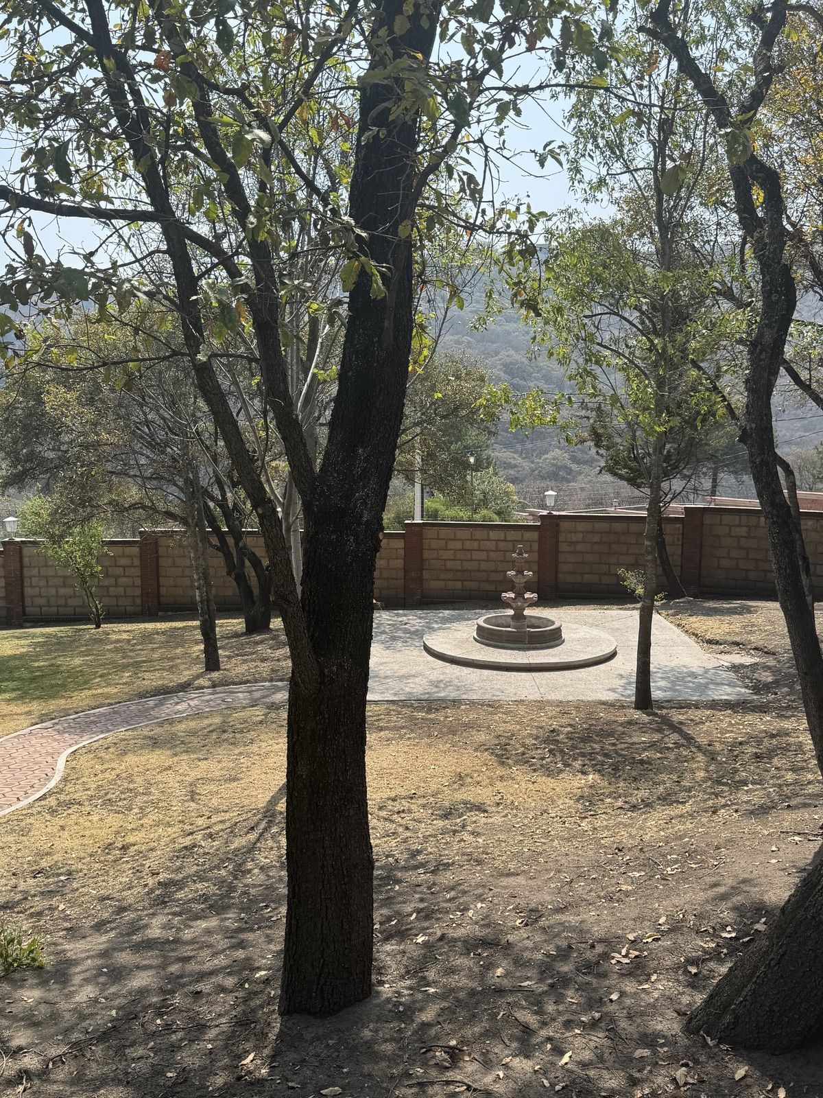 5 de 50