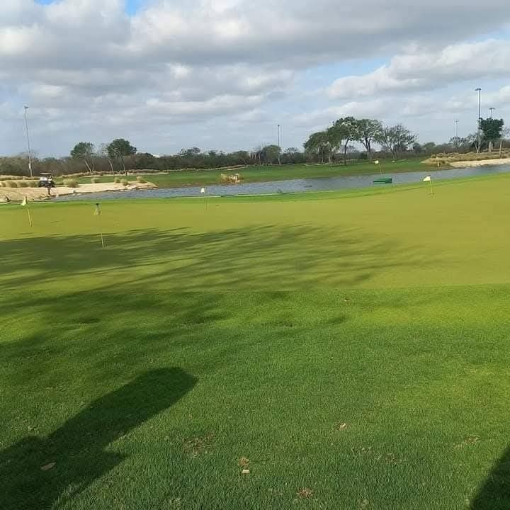 1 de 12