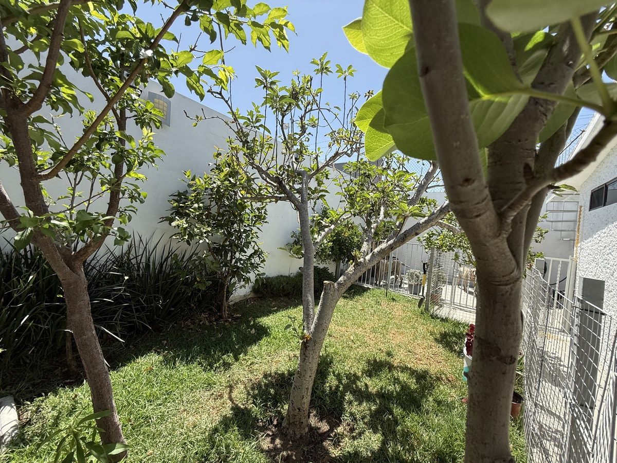 3 de 20: JARDIN
