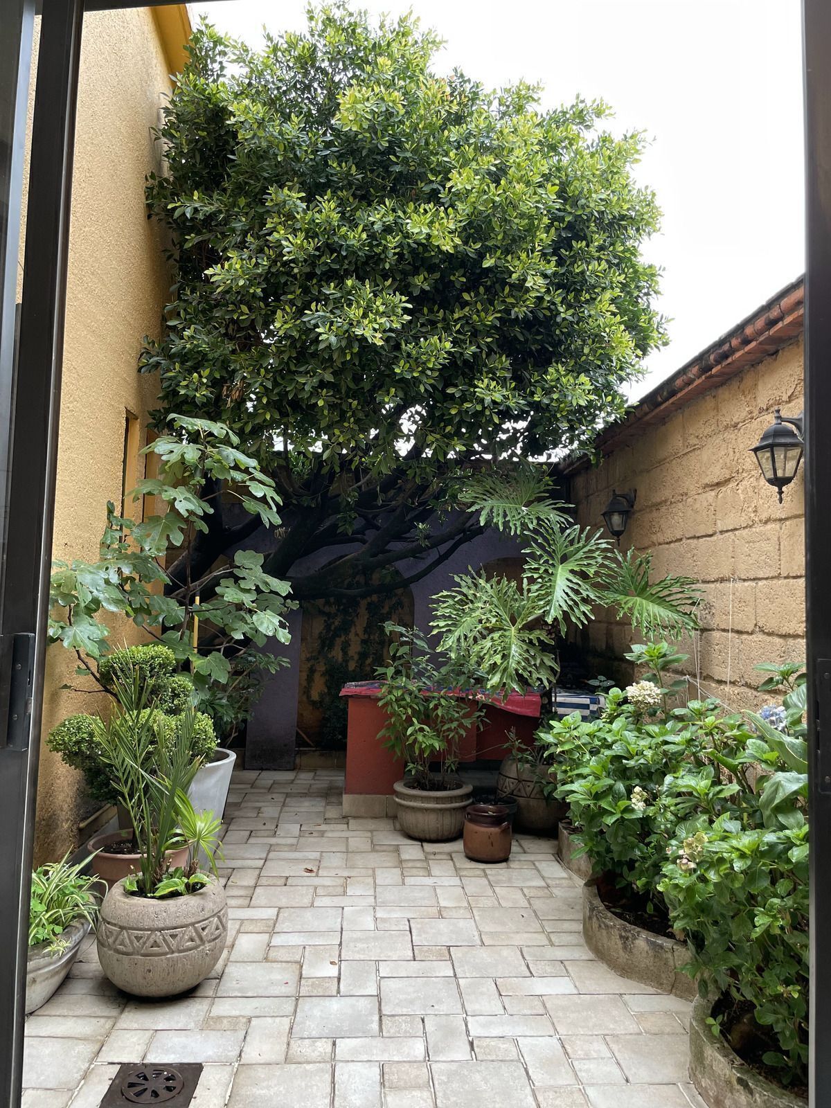 5 de 38