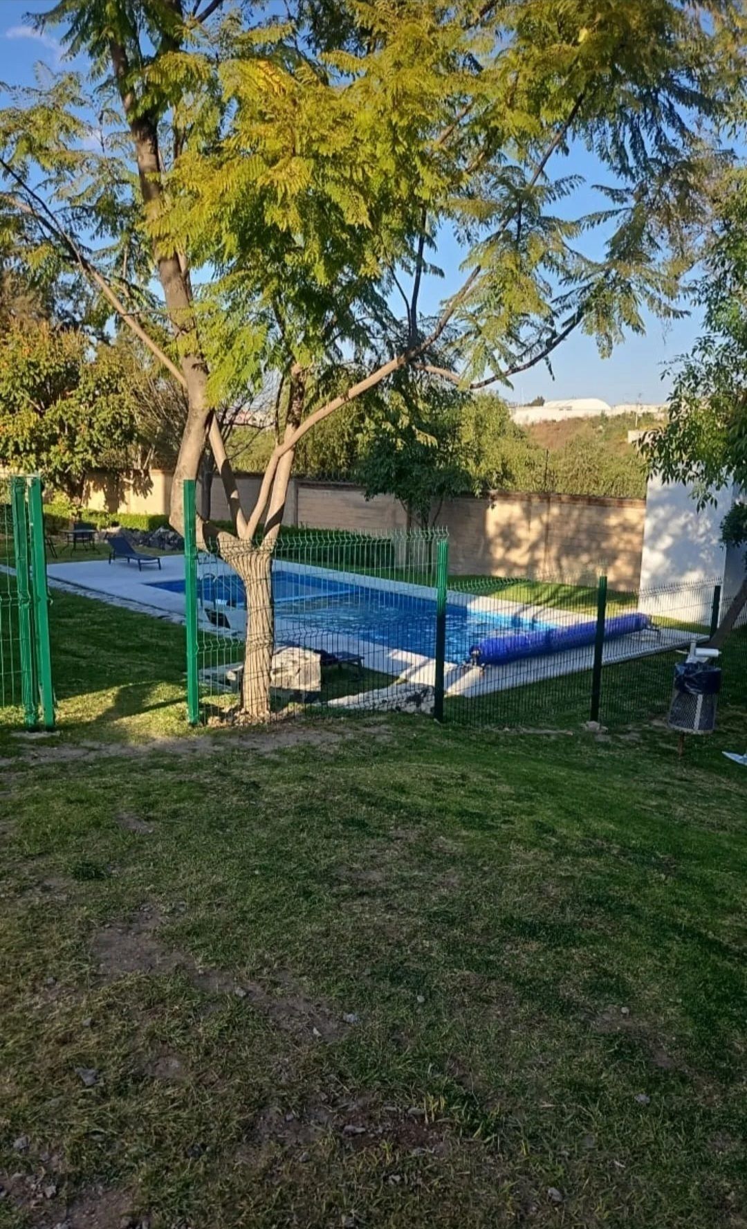 4 de 16
