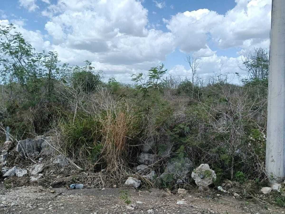 3 de 9