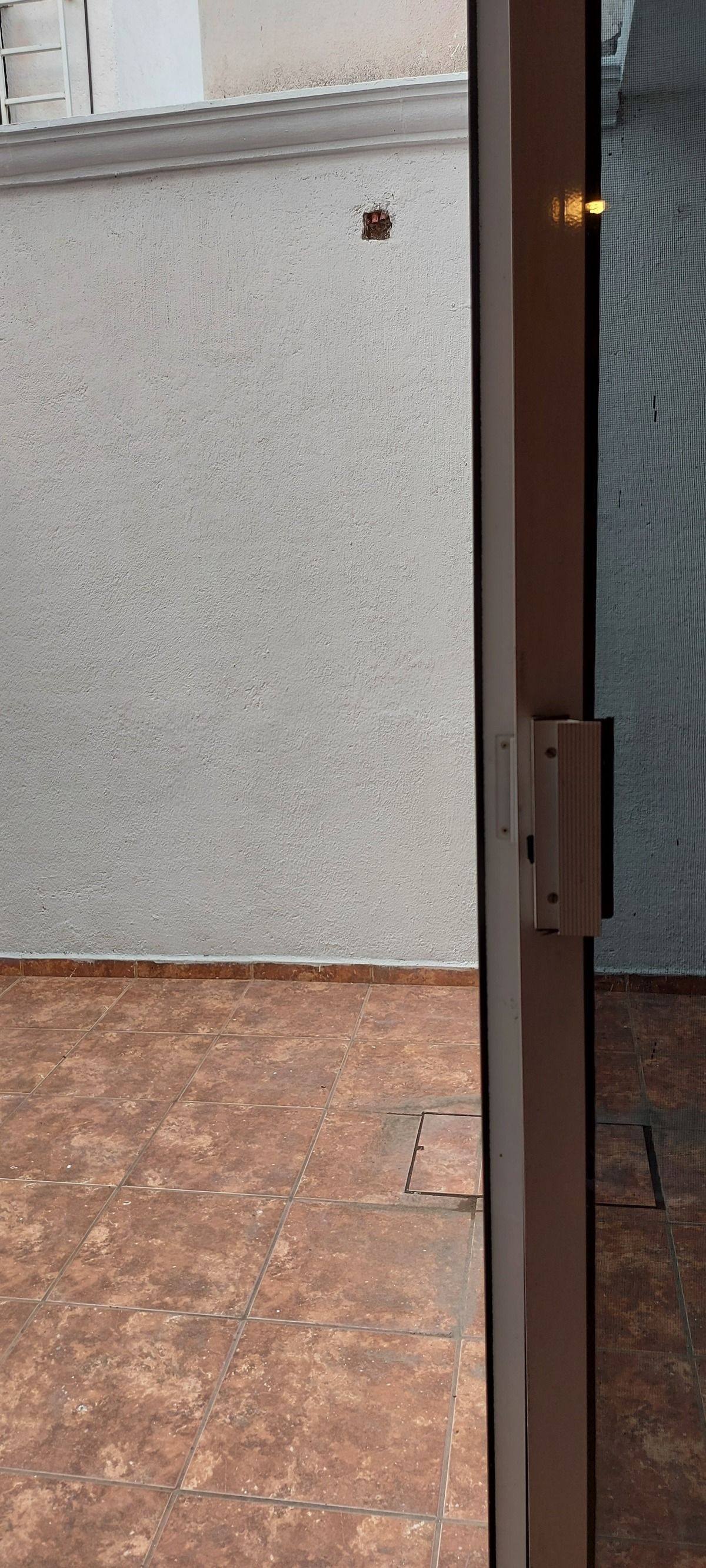 5 de 17