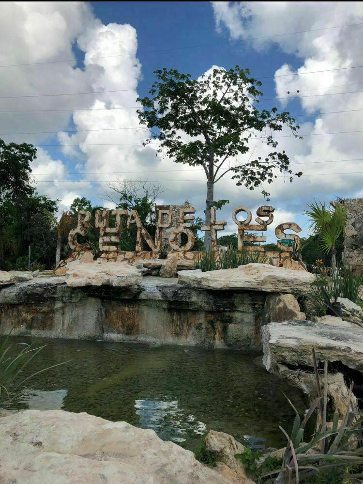 1 de 4
