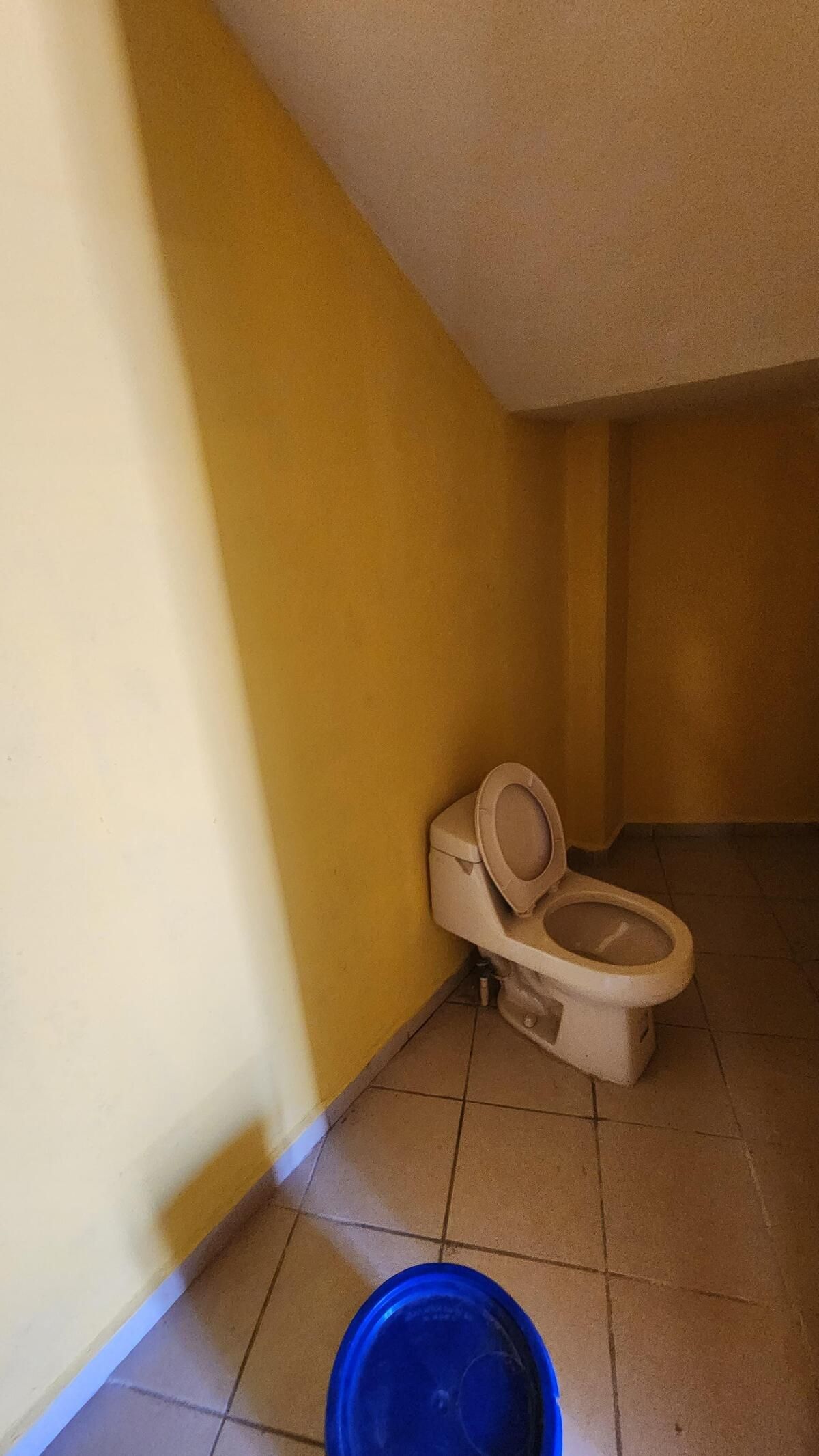 4 de 6