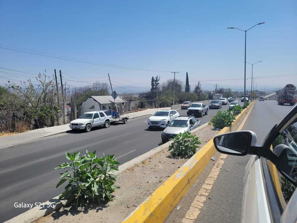2 de 17