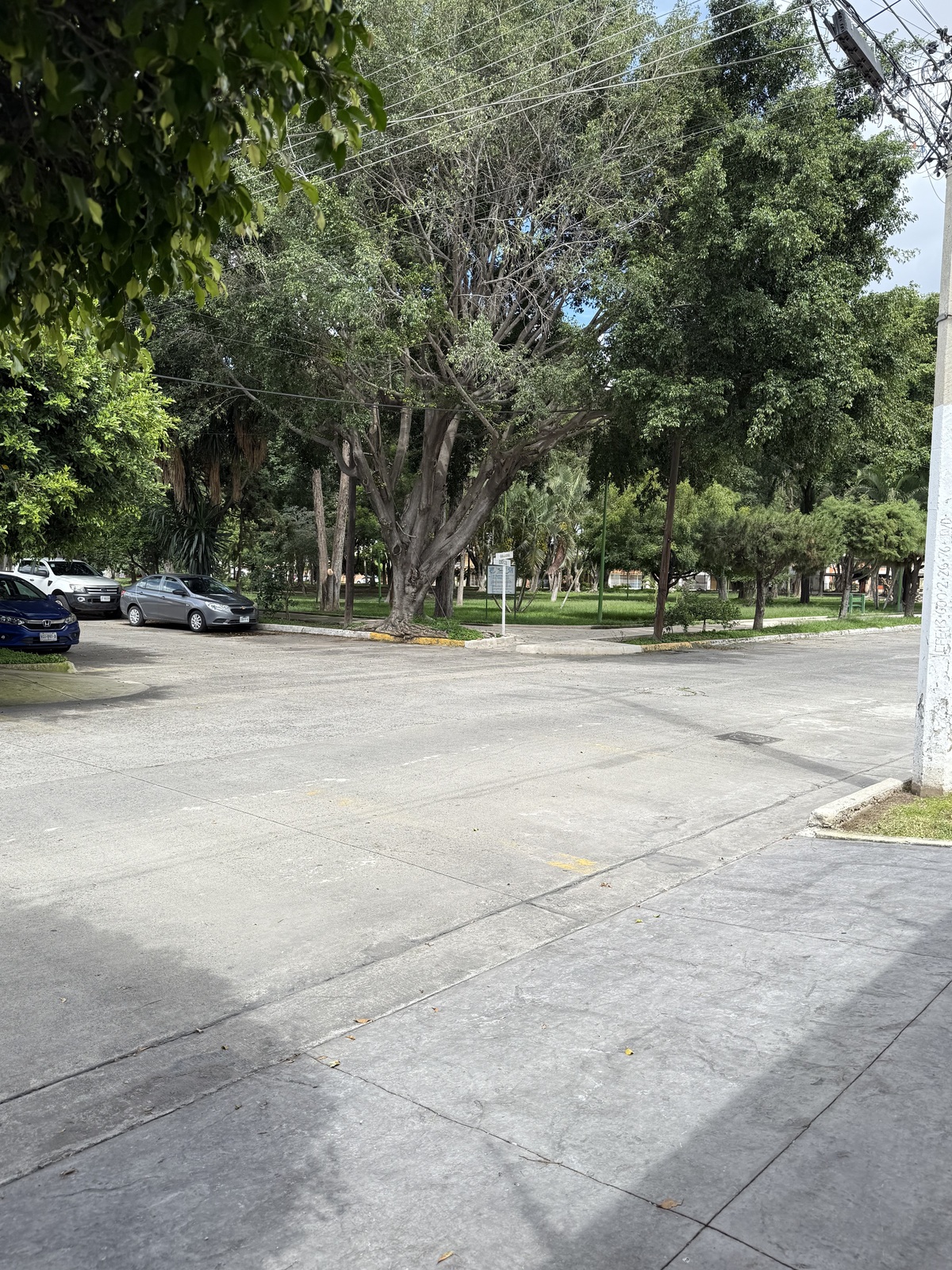 3 de 40
