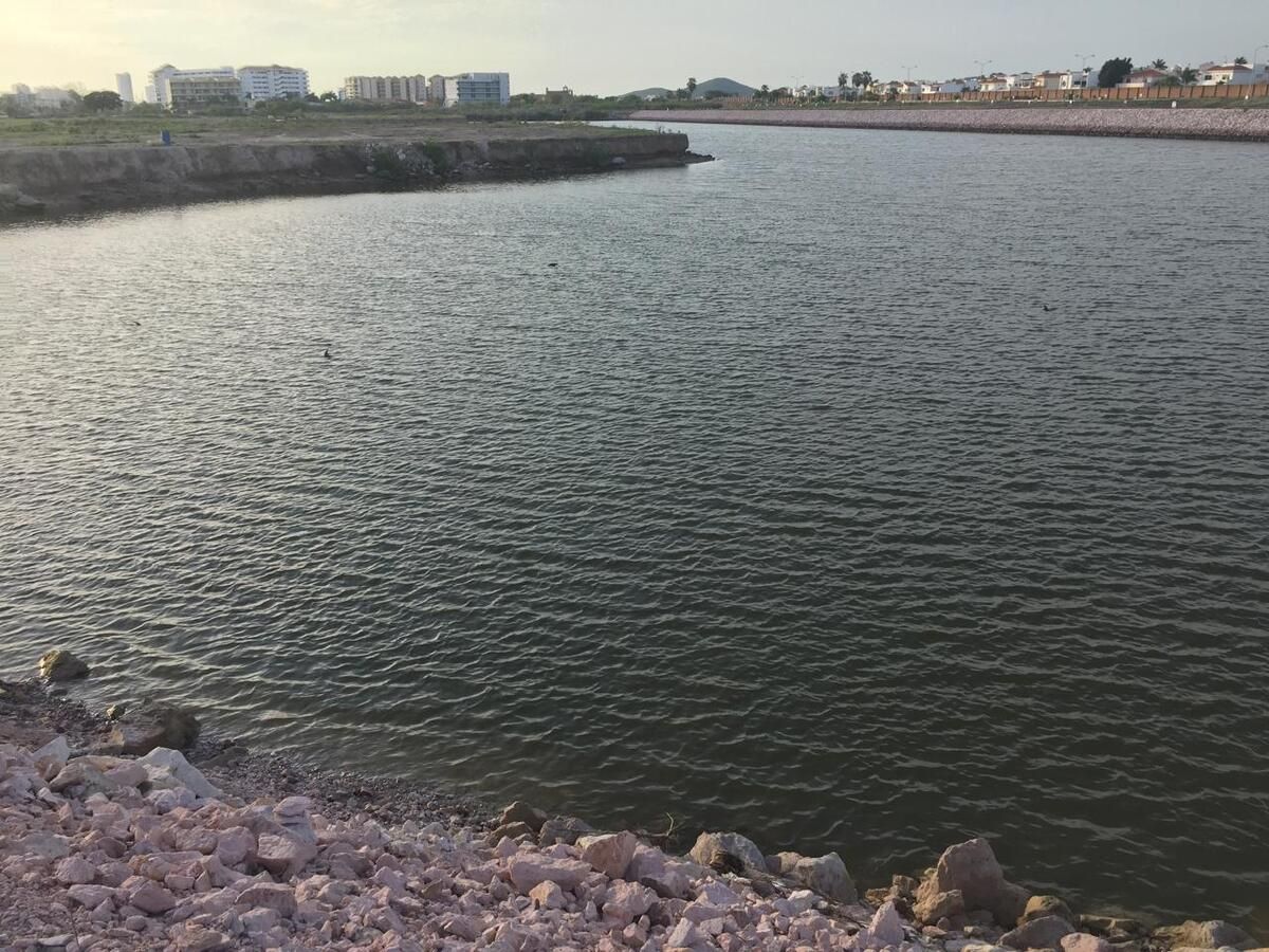 3 de 15: Vista desde el terreno al canal de navegación