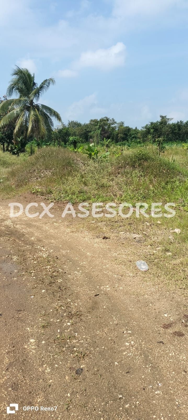 1 de 4