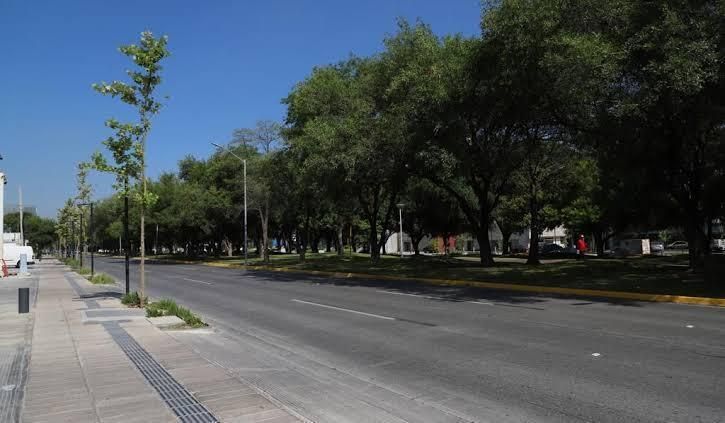 Imagen 2 de 6