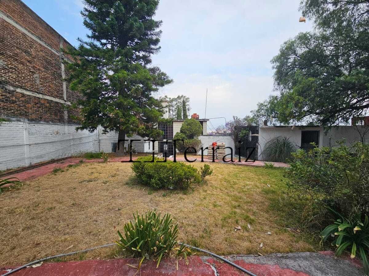 8 de 12