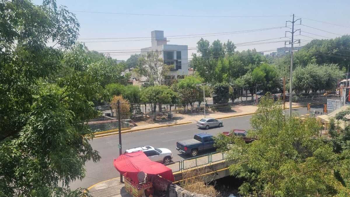 13 de 14