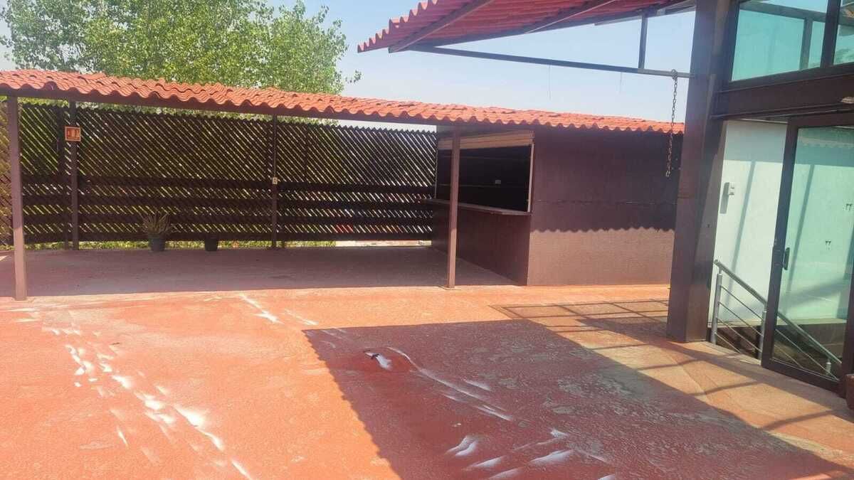 8 de 14