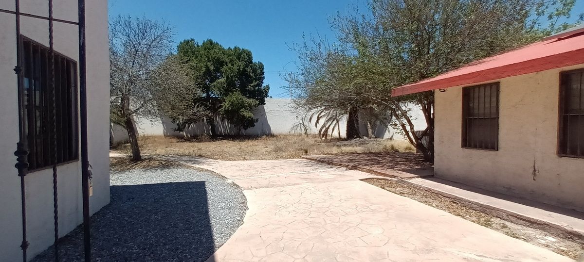 13 de 16