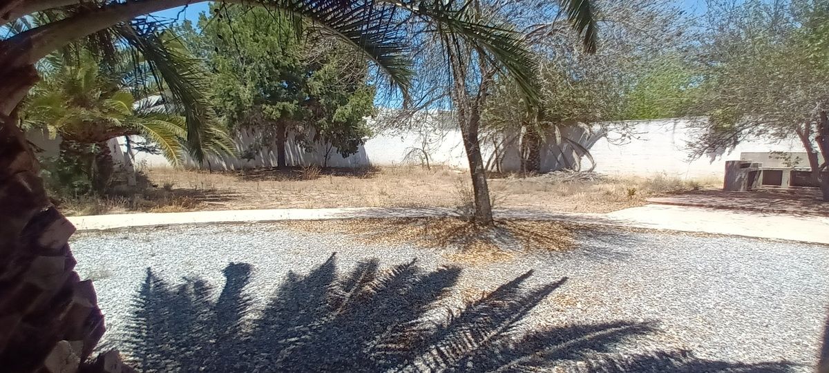 14 de 16
