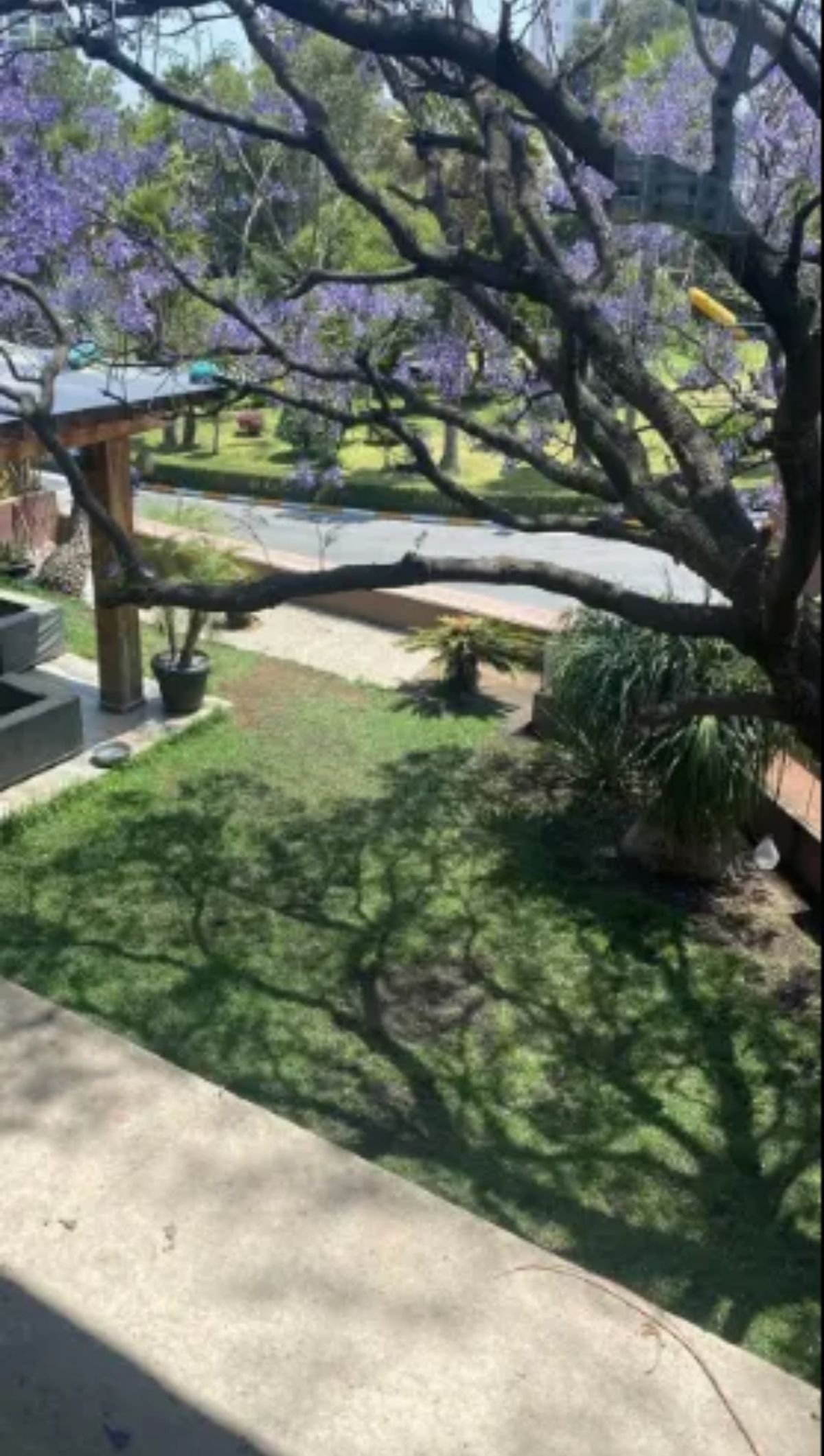 9 de 26