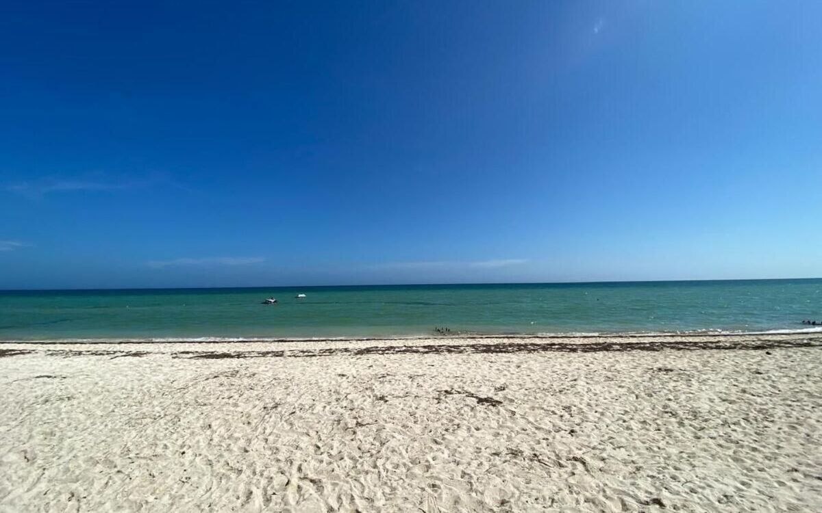 6 de 7