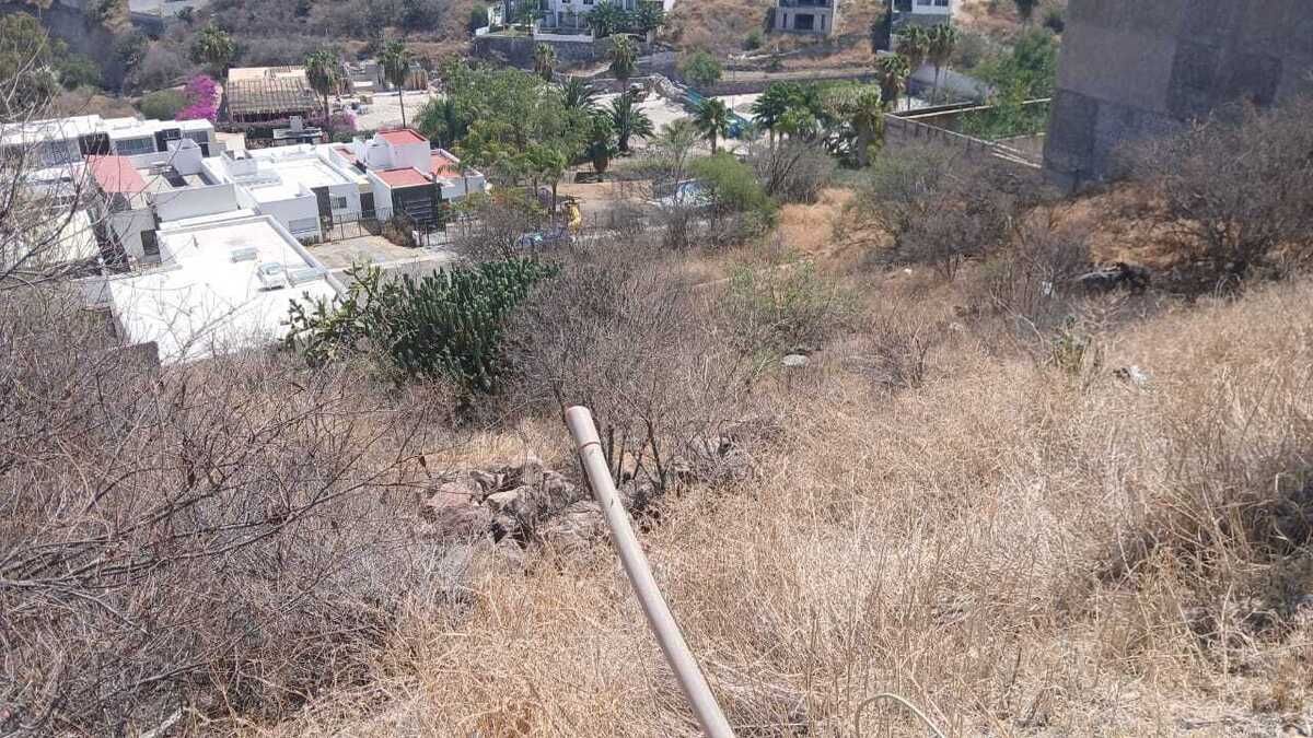 4 de 7