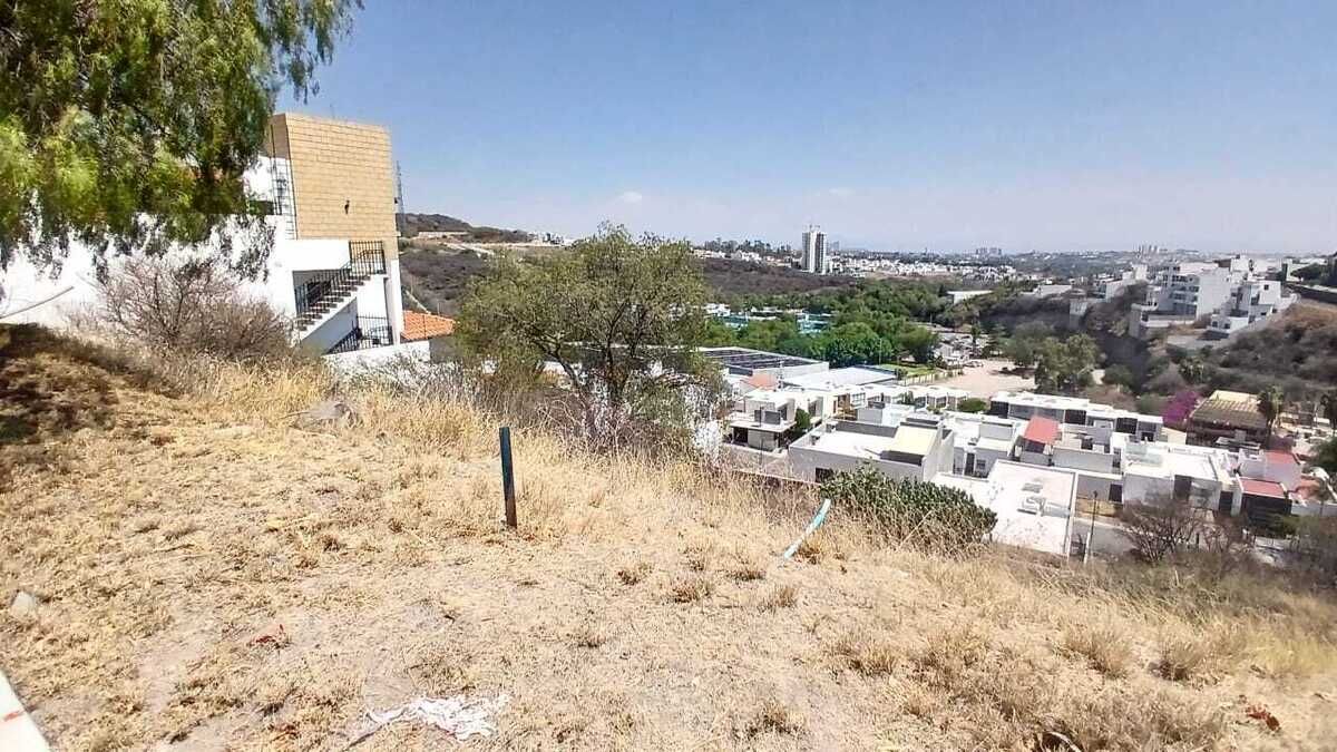 6 de 7