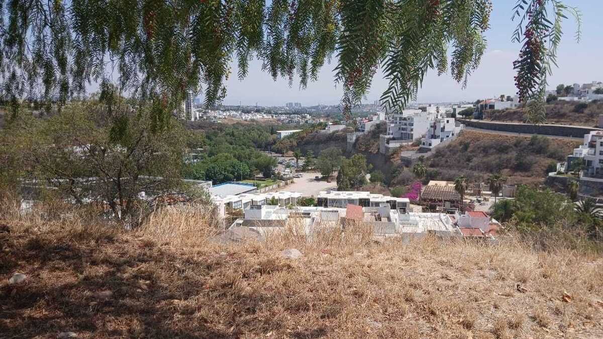 7 de 7