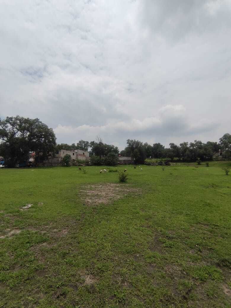 2 de 14