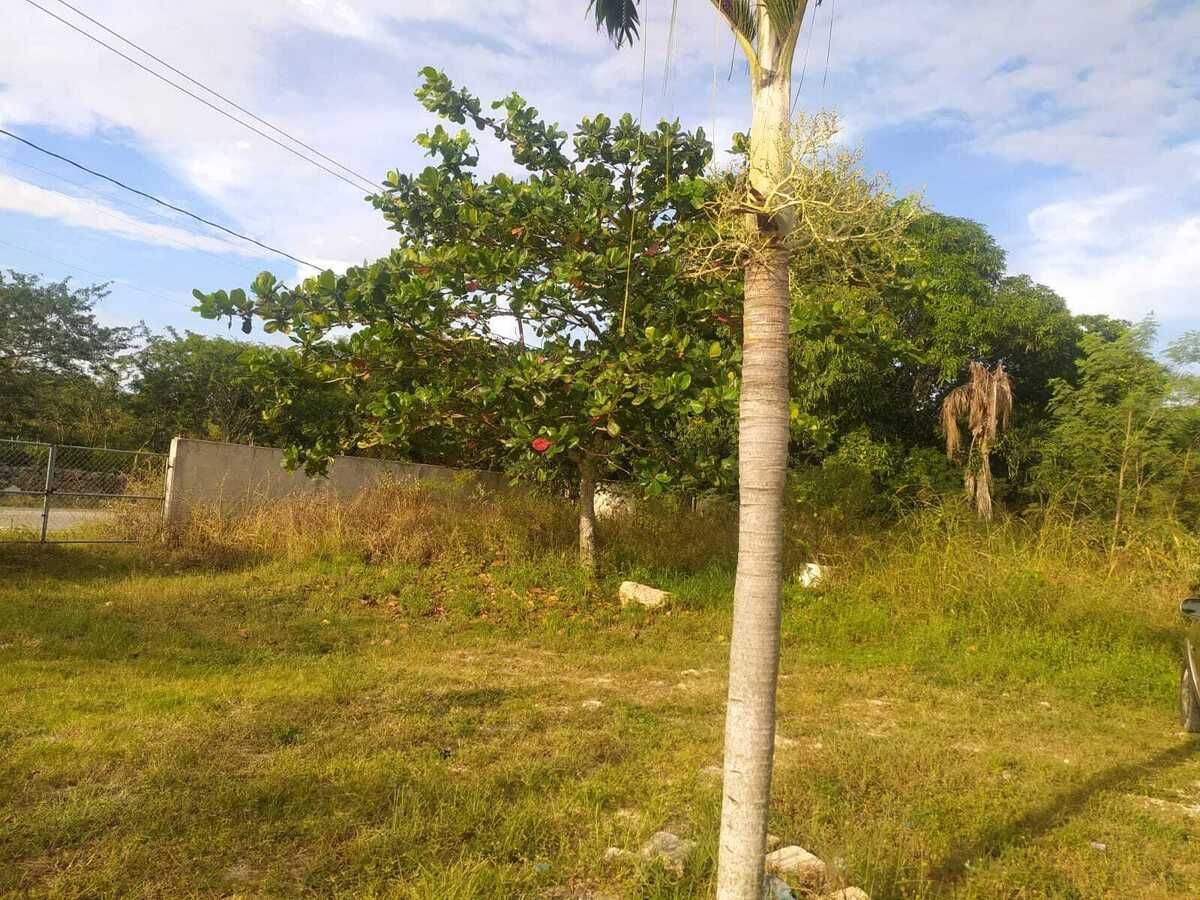 9 de 22