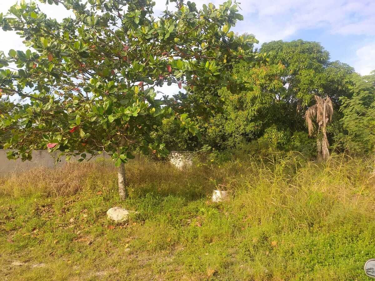 10 de 22