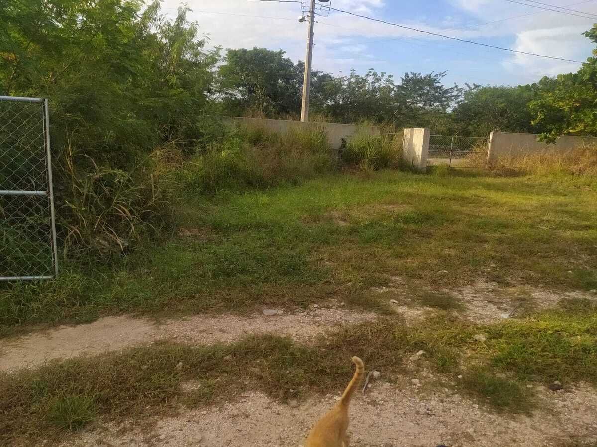 11 de 22