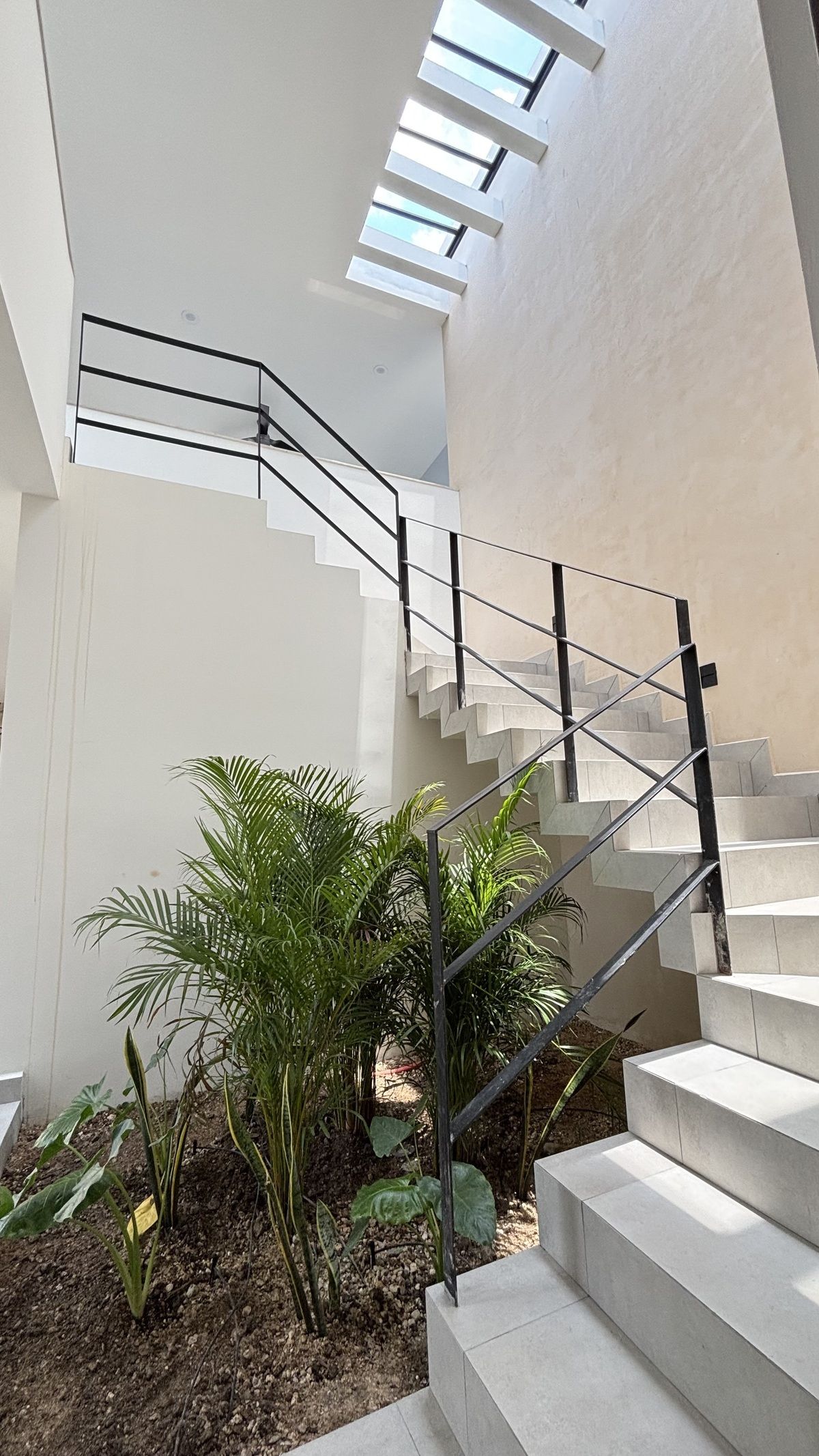 3 de 31: Jardín interior