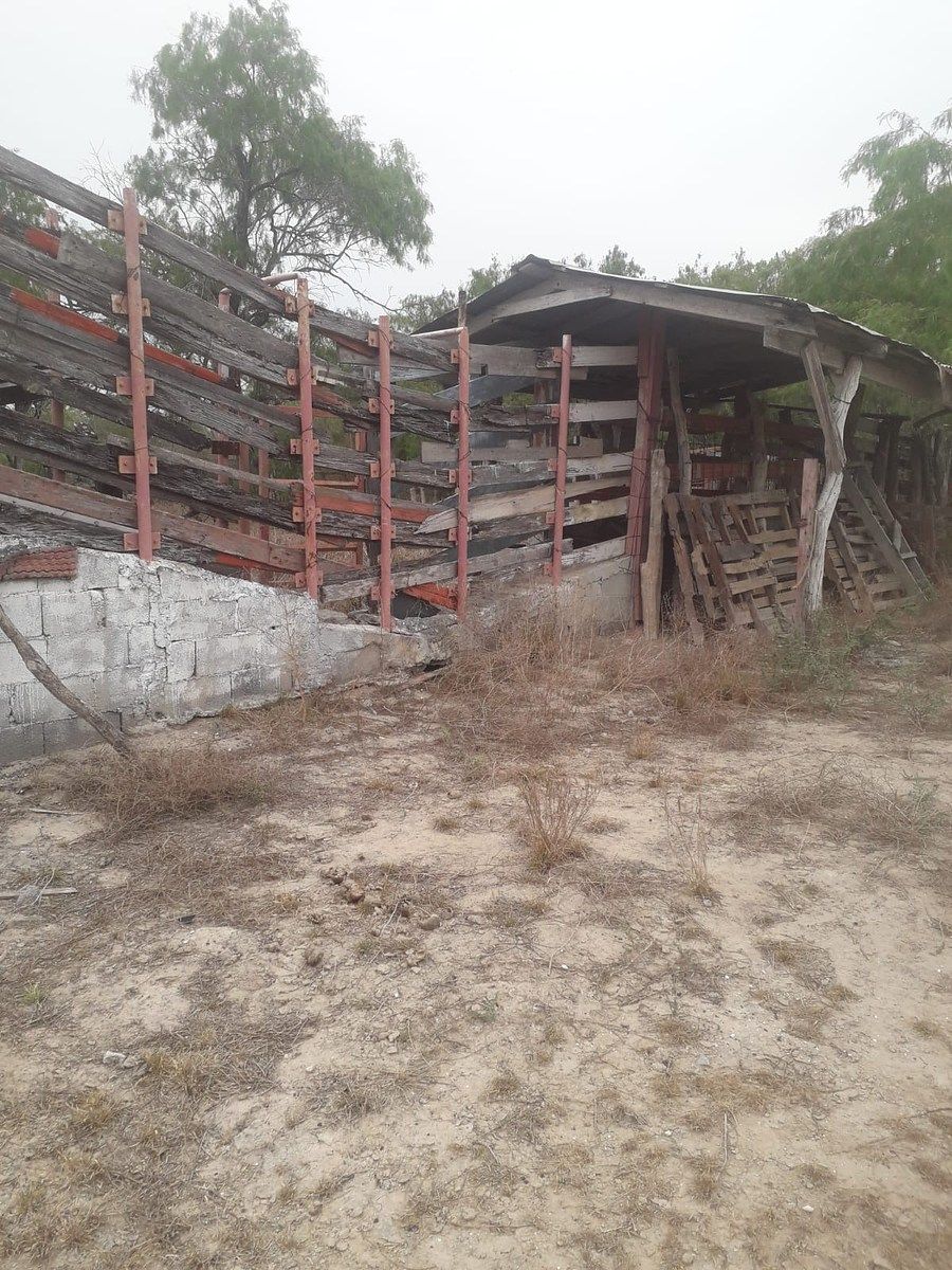 Imagen 7 de 10
