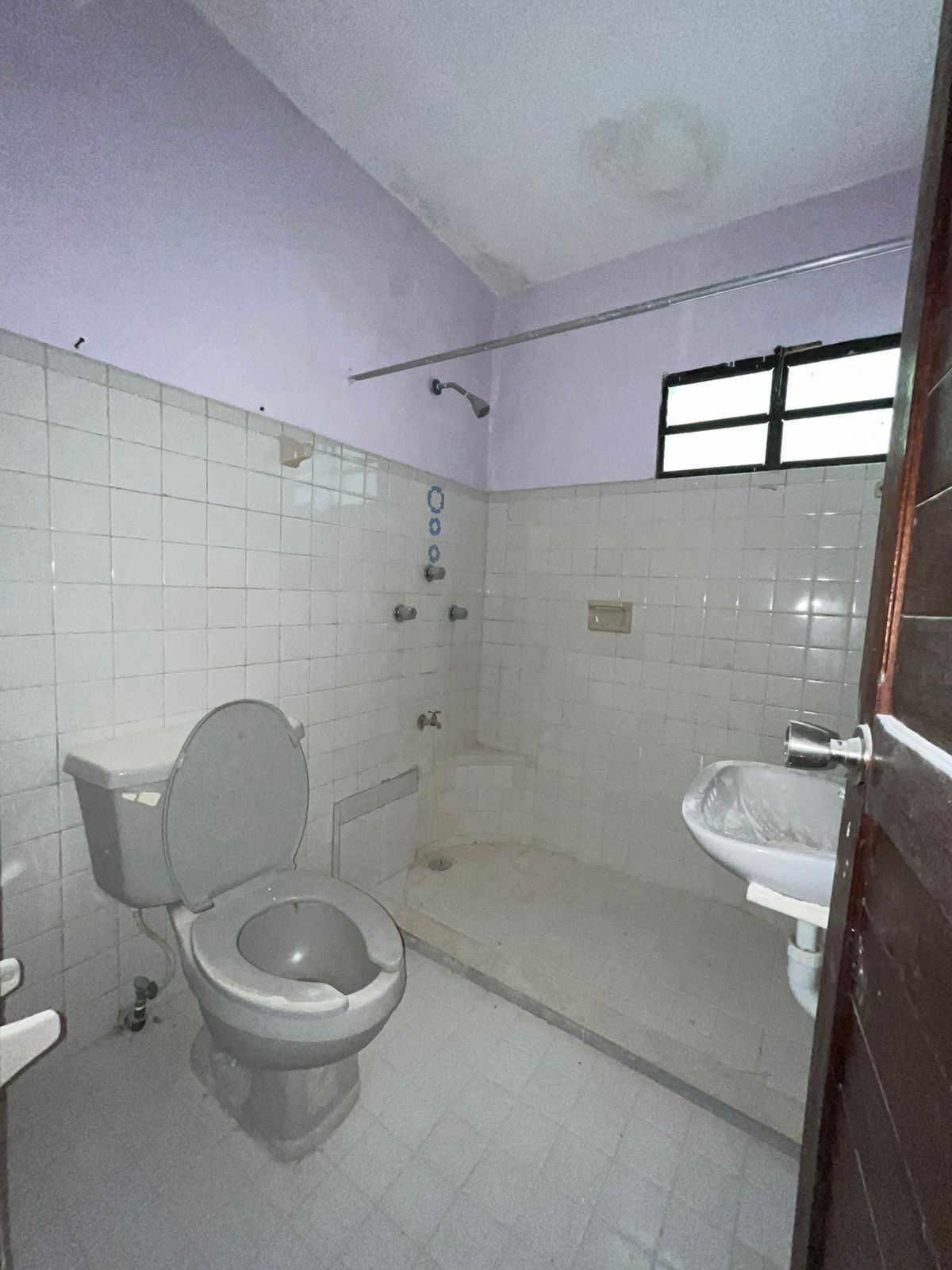 12 de 17