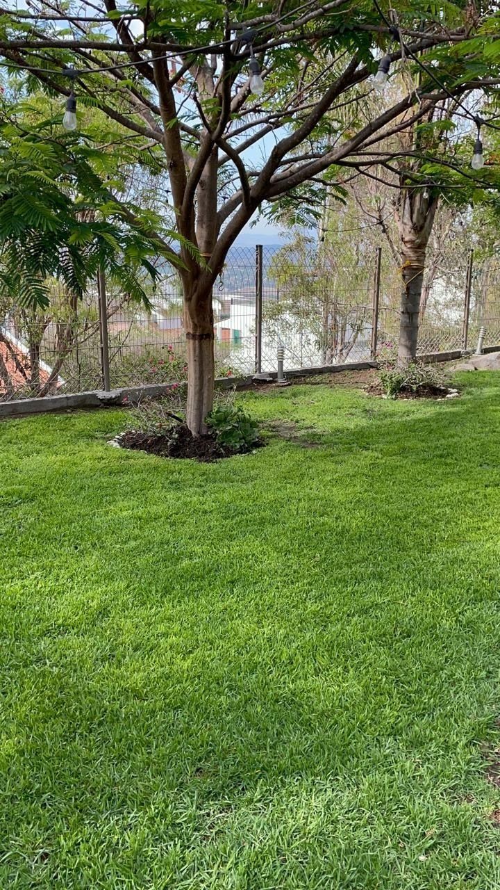 16 de 18