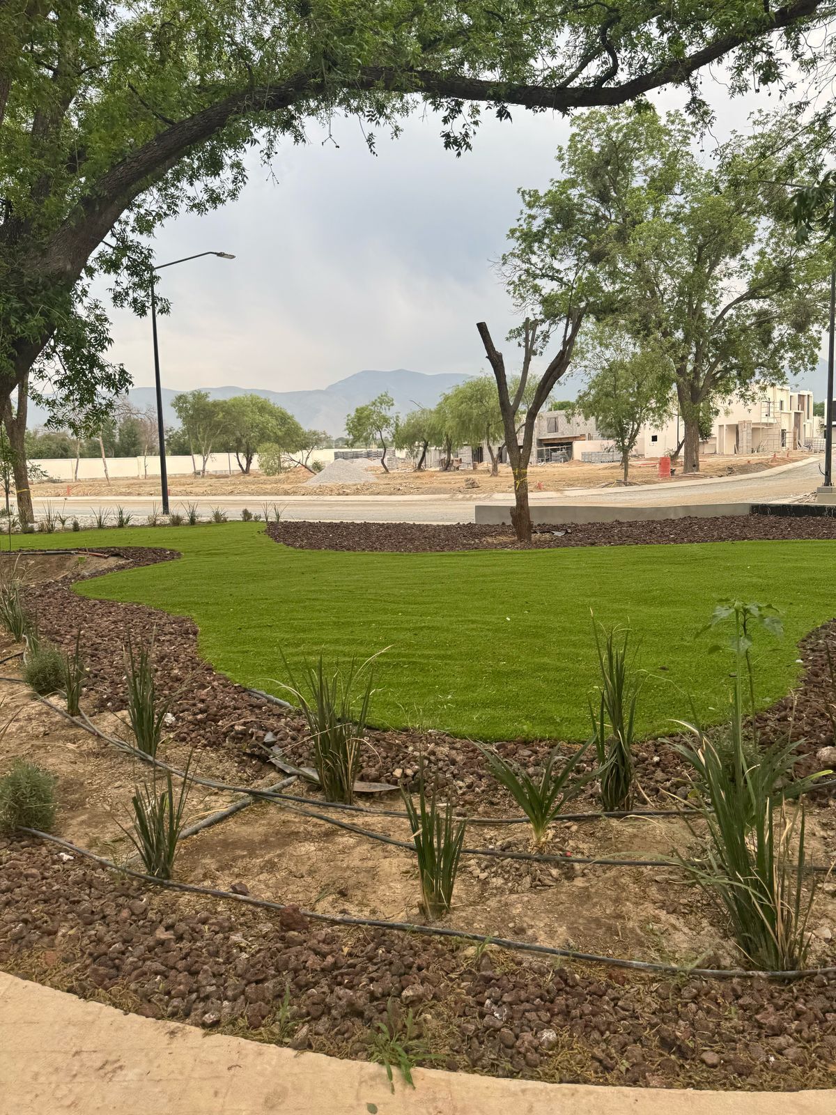 6 of 20: Áreas verdes