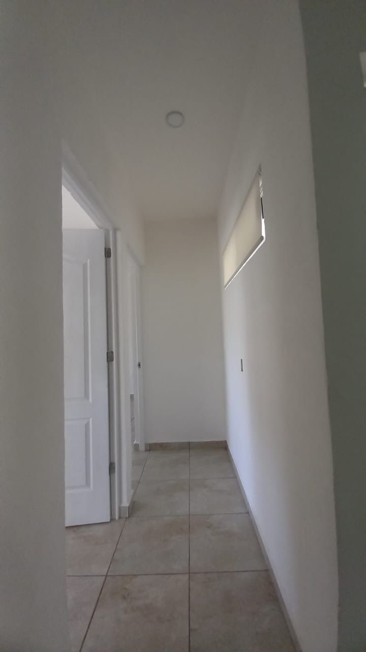 3 de 12