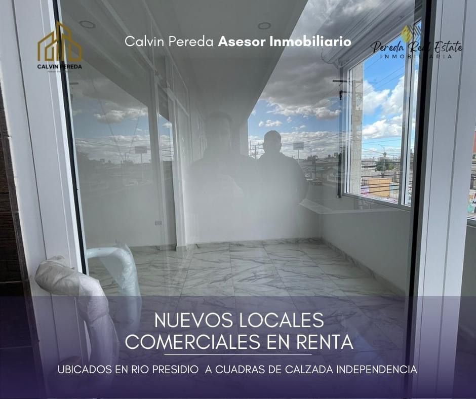 11 de 11