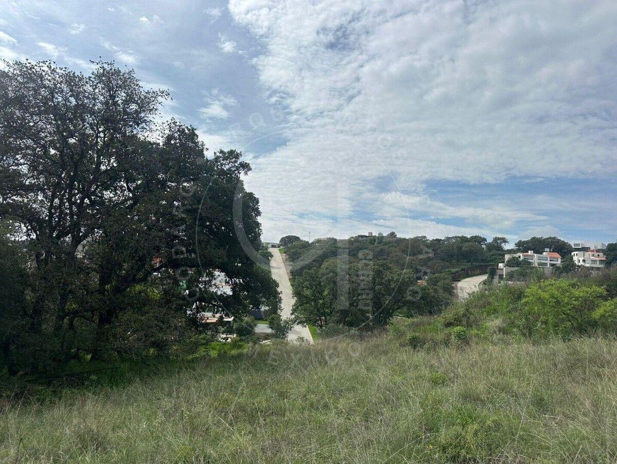 4 de 5