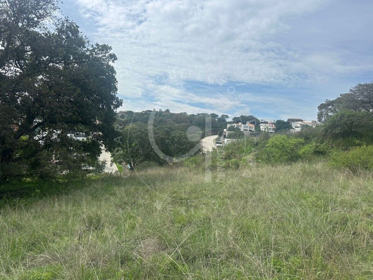 5 de 5