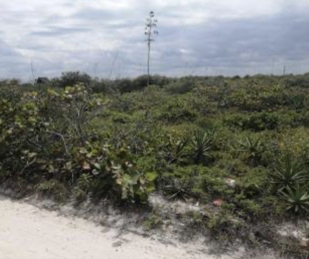 Terreno en Venta en la Playa en Segunda Fila San Benito Merida Yucatán