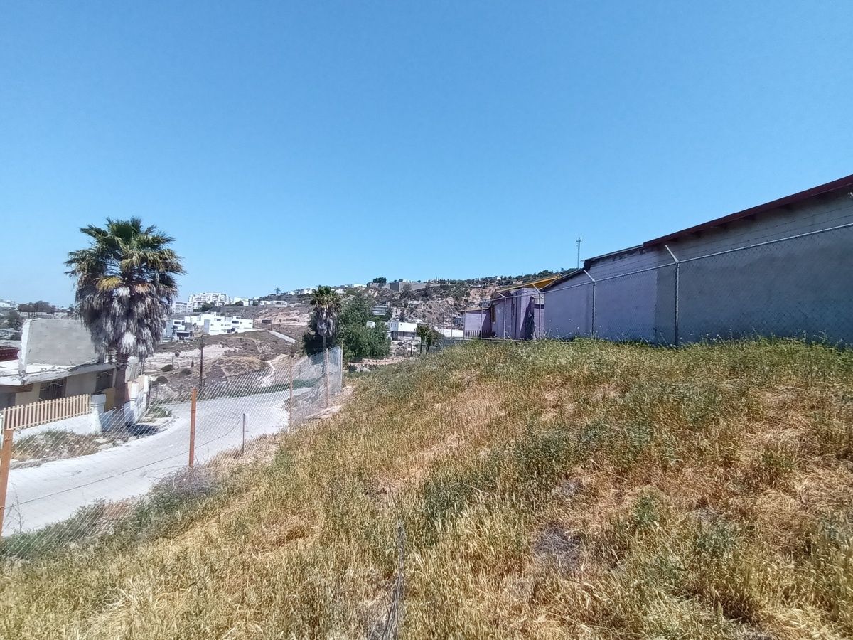2 de 12