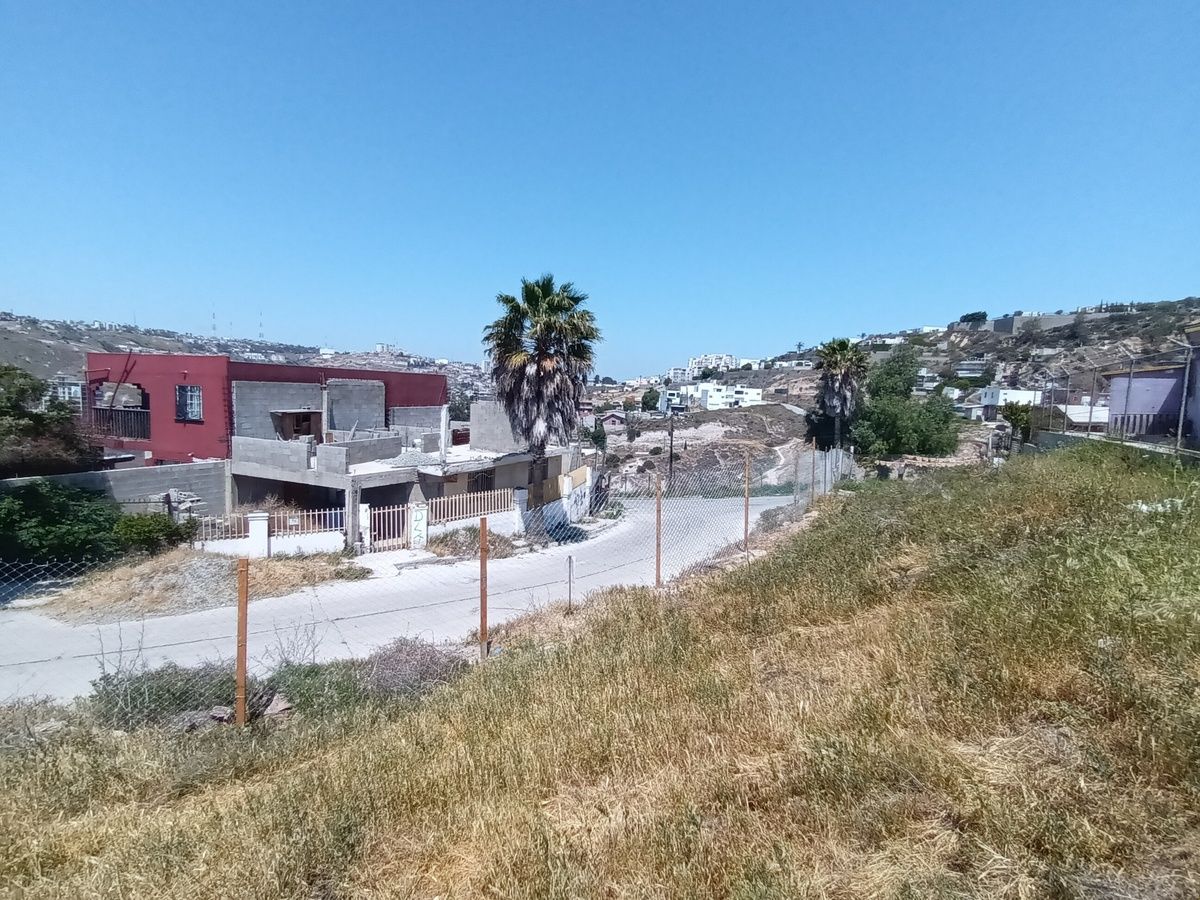 3 de 12