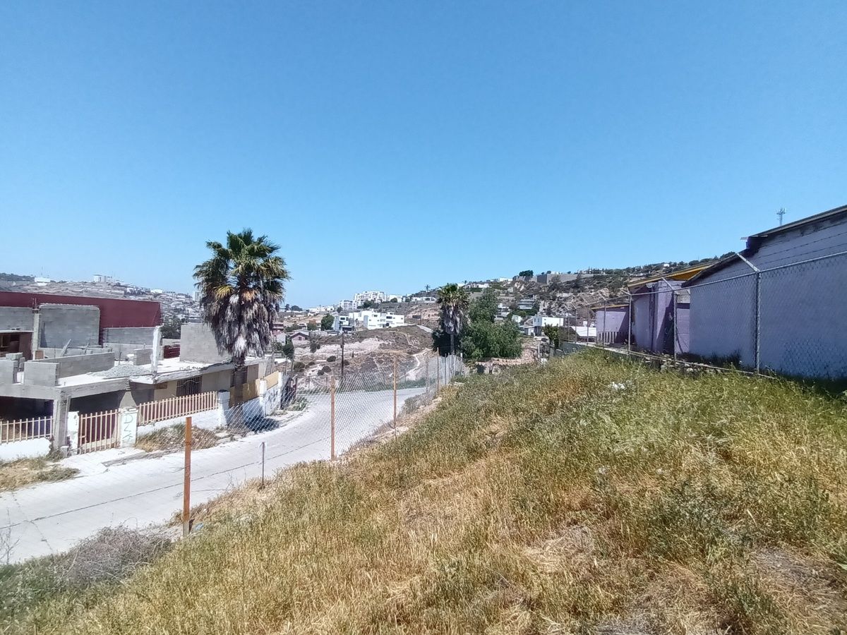 4 de 12
