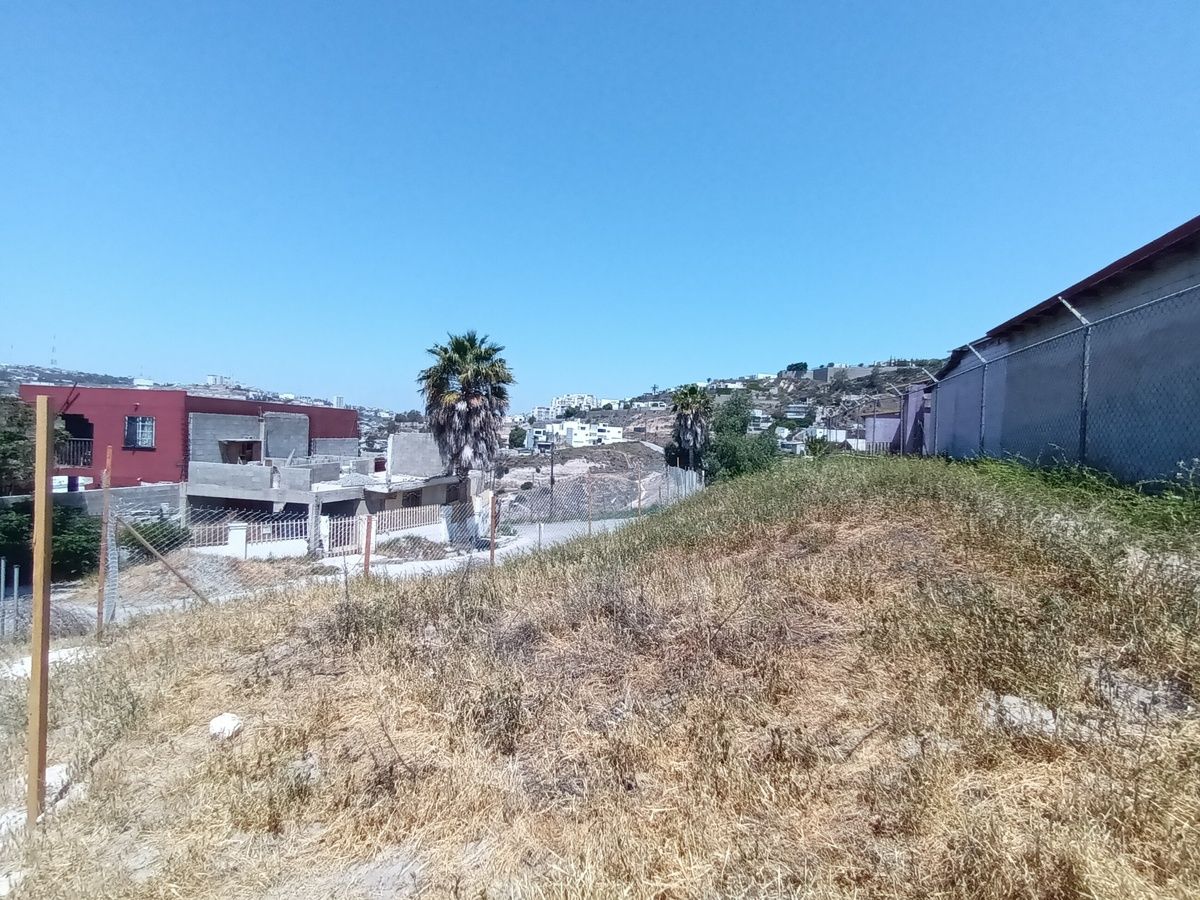 6 de 12