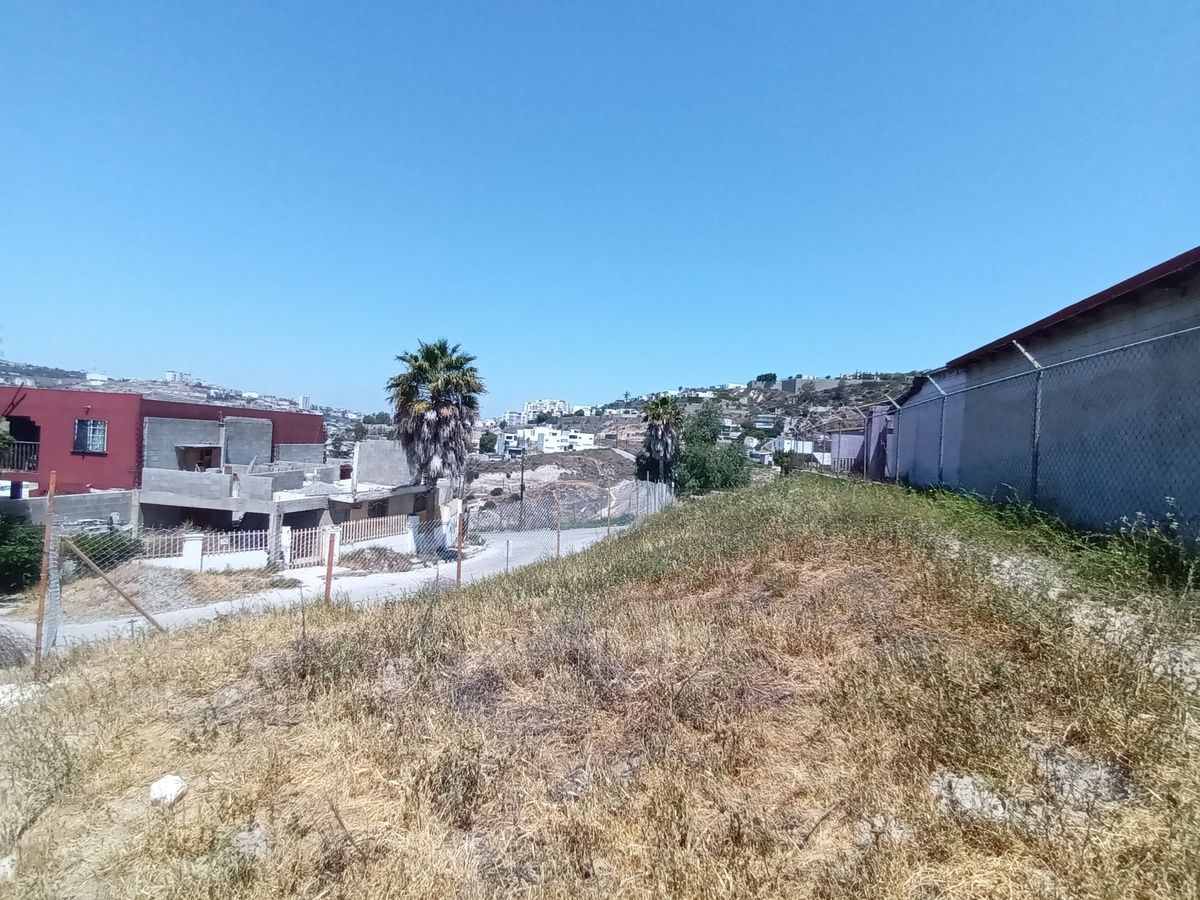 7 de 12