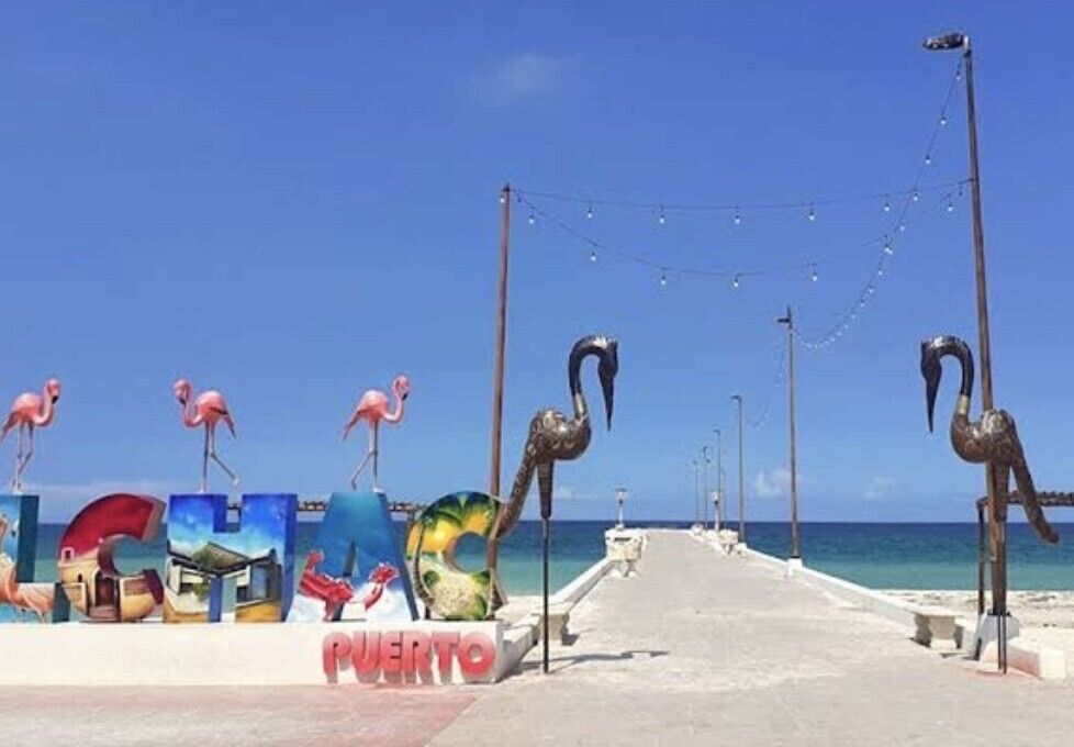 5 de 8