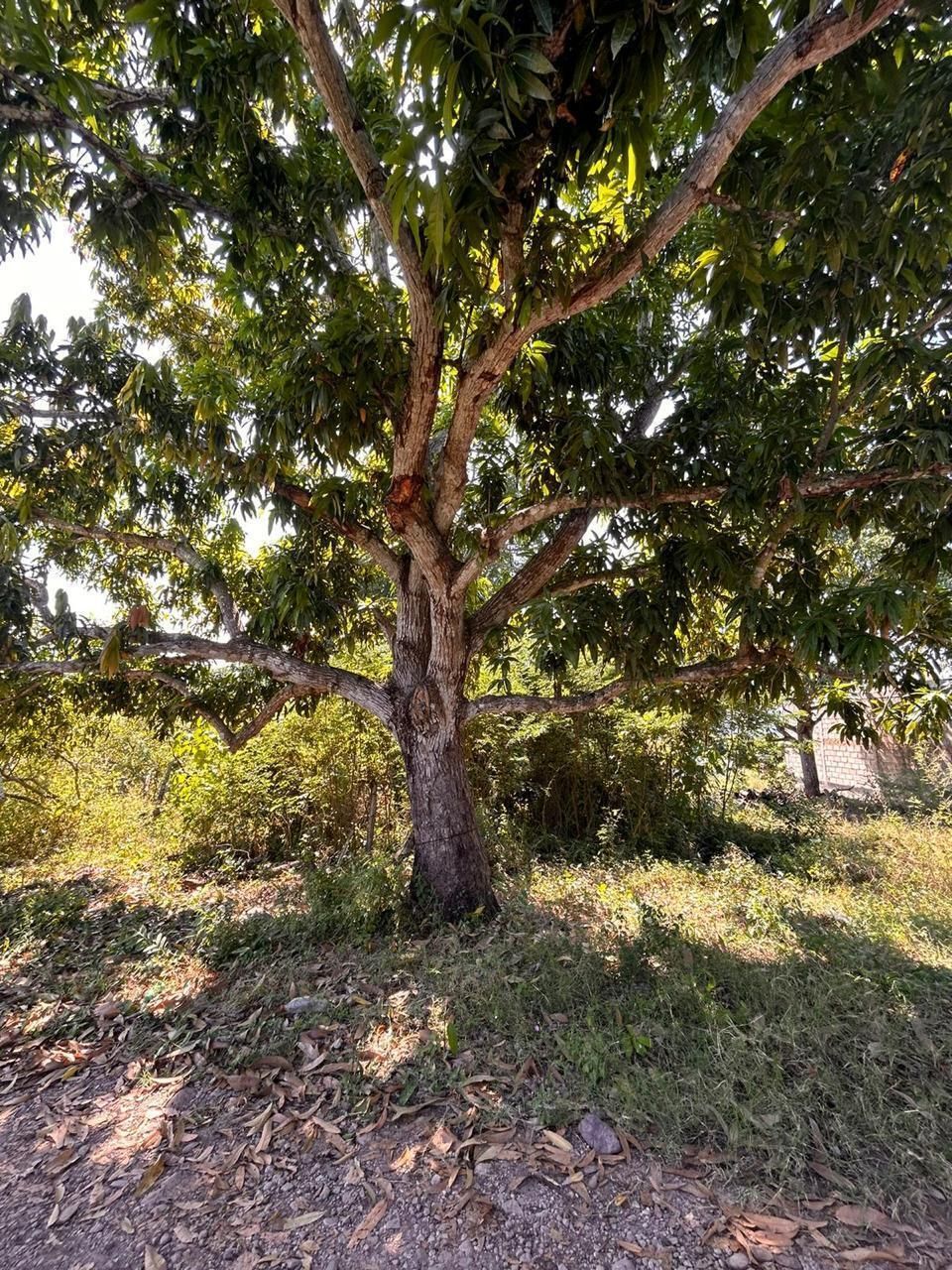 1 de 4