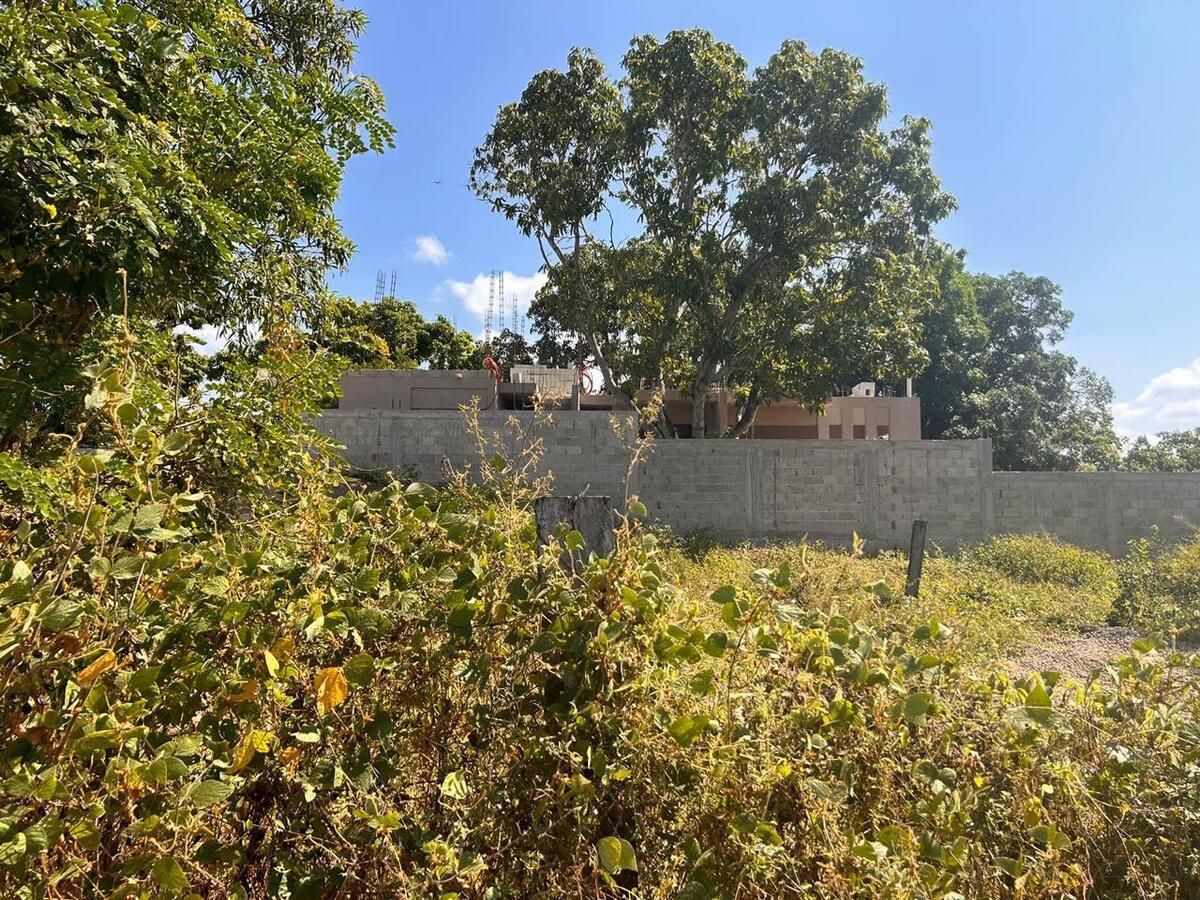 2 de 12: Vista hacia el vecino