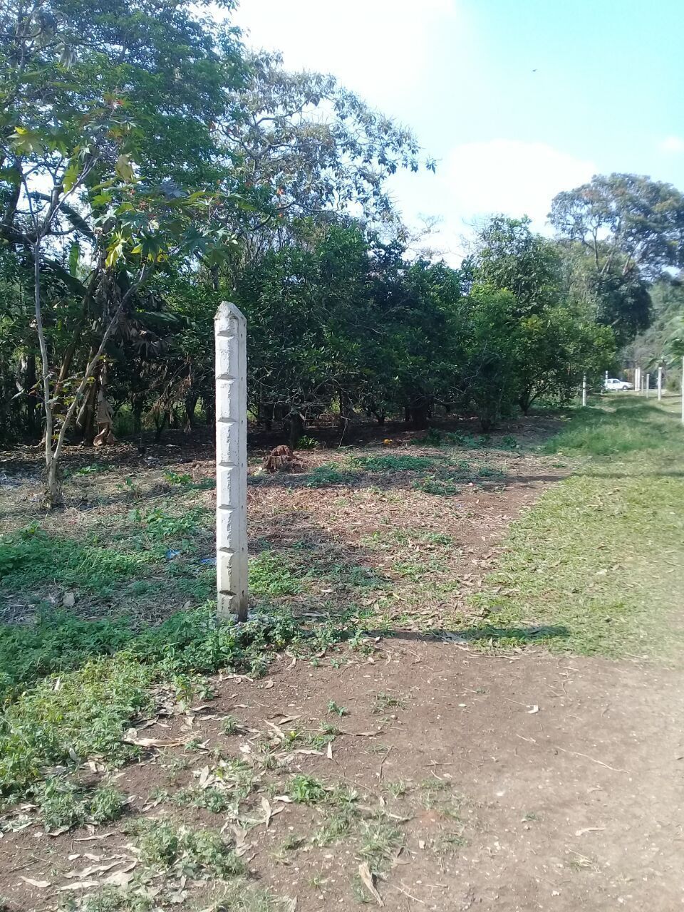 4 de 5