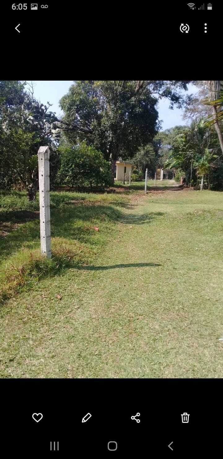 5 de 5