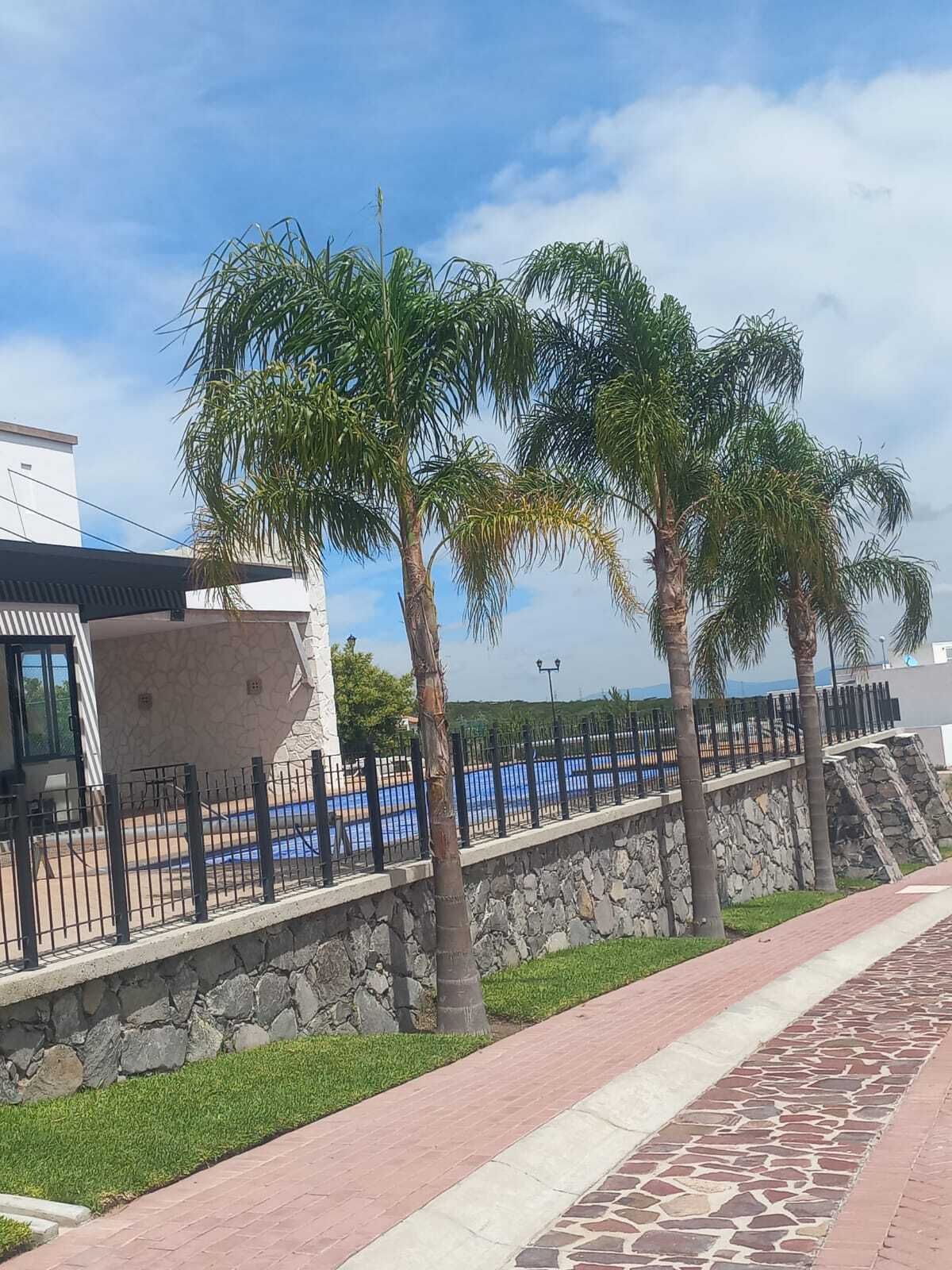 2 de 4